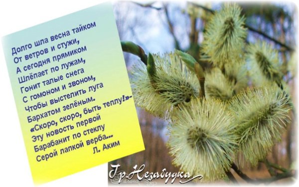 Конкурс чтецов Весенняя капель