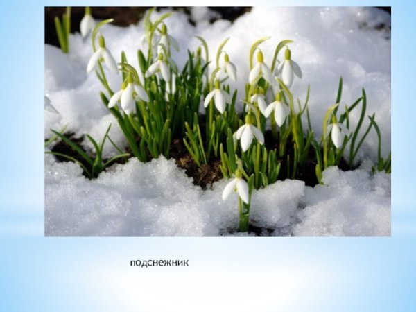 Стихи про апрель