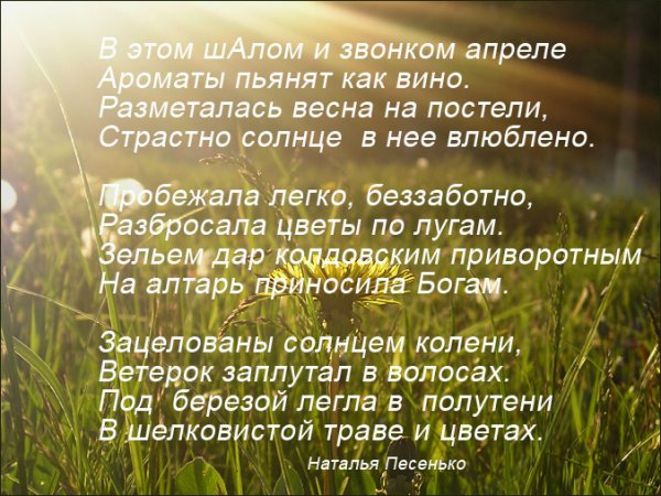 День подснежника презентация