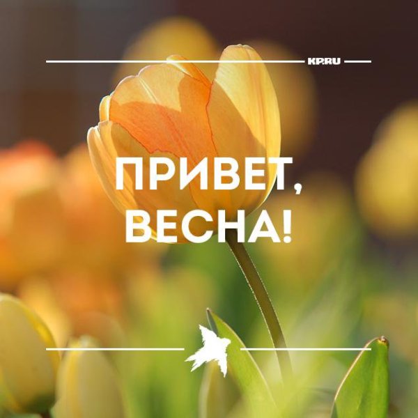 Привет Весна март