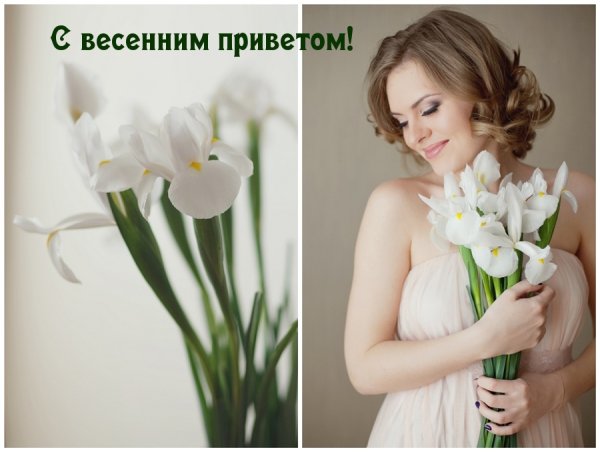 Весенний привет