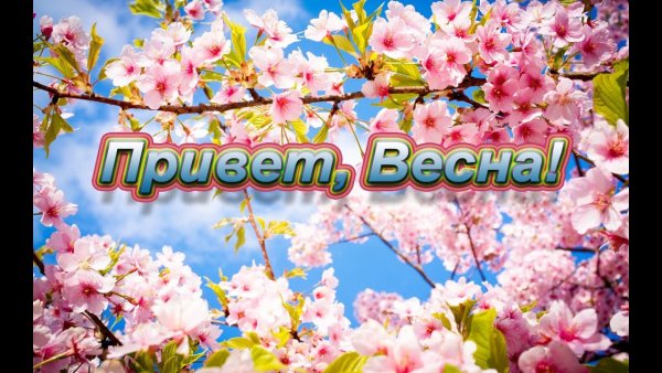 Привет, Весна!