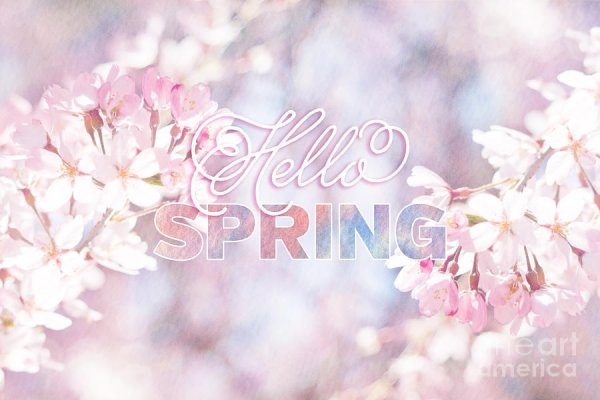 Привет Весна привет март