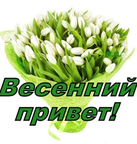 Весенний привет