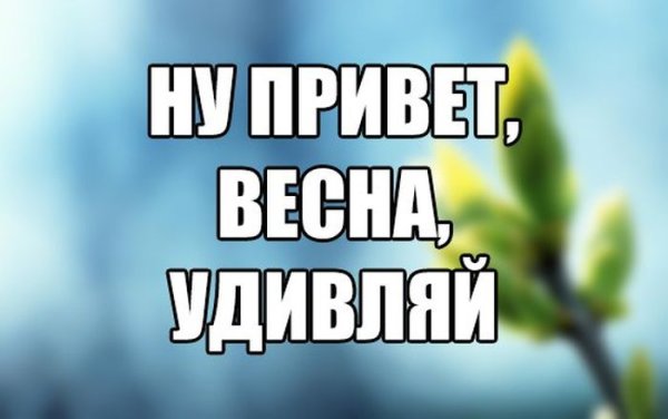 Привет, Весна!