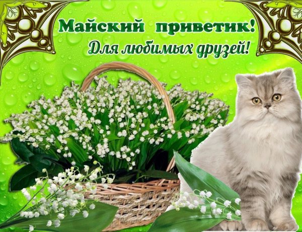 Хорошего весеннего дня