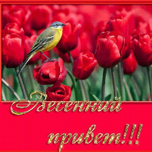 Обои на ноутбук Вдохновляющие