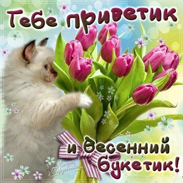 Открытки весенний приветик