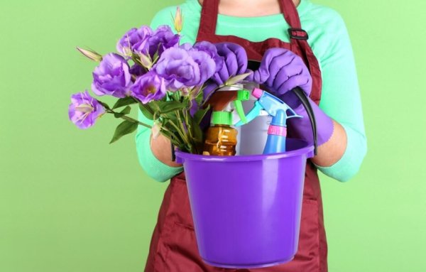 Весна Генеральная уборка