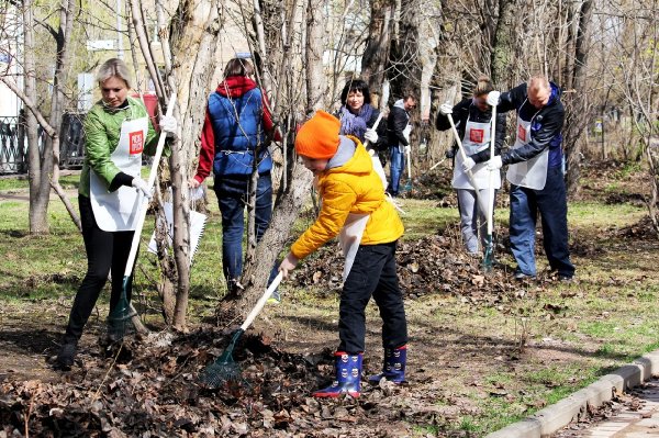 Огород весной