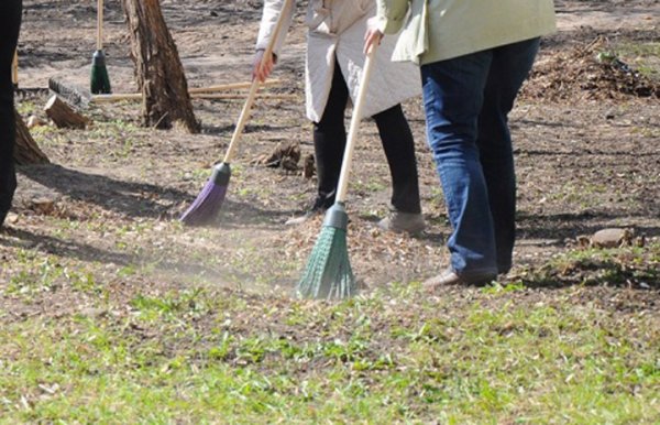 Уборка на даче весной
