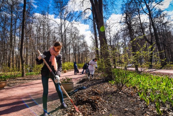Уборка огорода весной