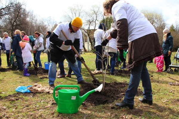 Уборка территории весной