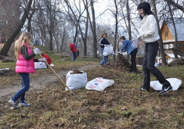 Осенние хлопоты в саду