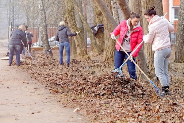 Клининг фон на визитку