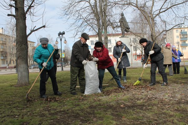 Уборка территории в лесу