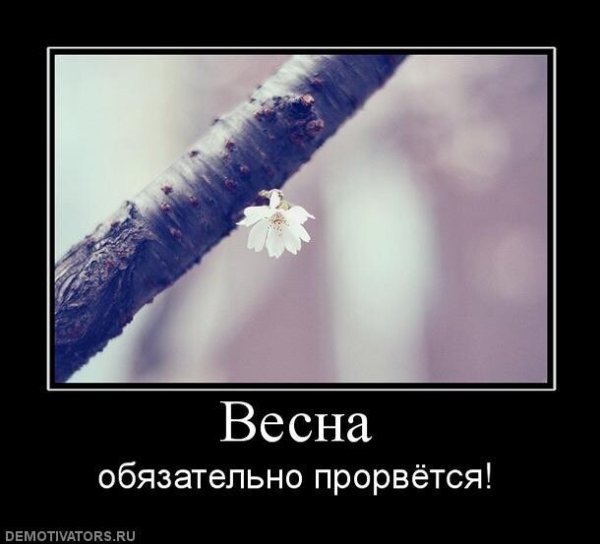 Скоро настоящая Весна