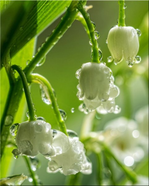 Красивая природа