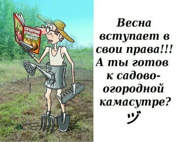 Смешно о дачниках