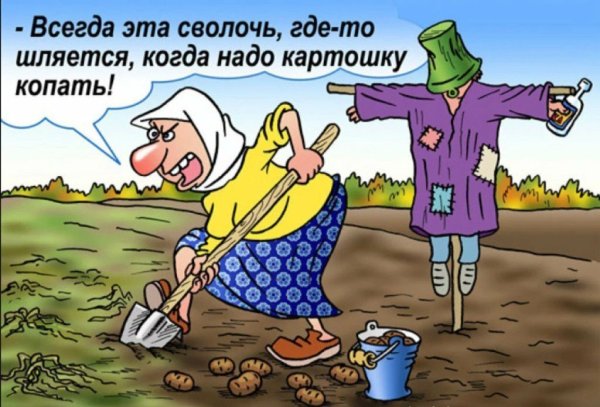 Карикатуры на огородные работы