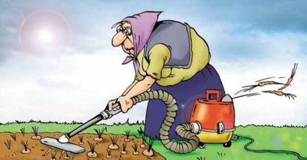 Огород дача с надписями