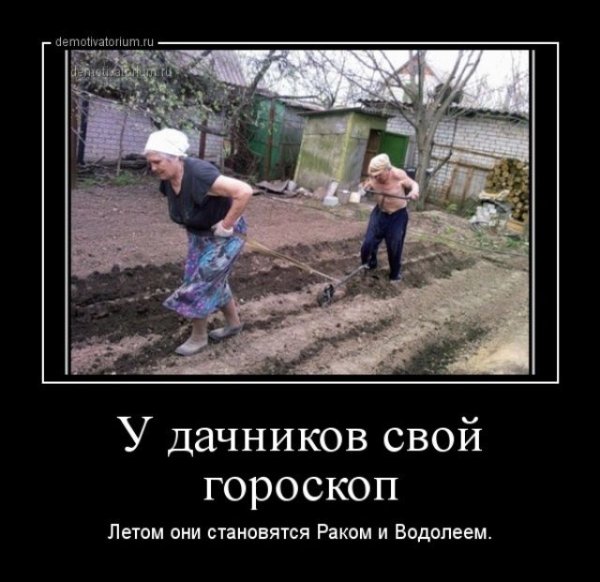 Приколы про огород и дачу