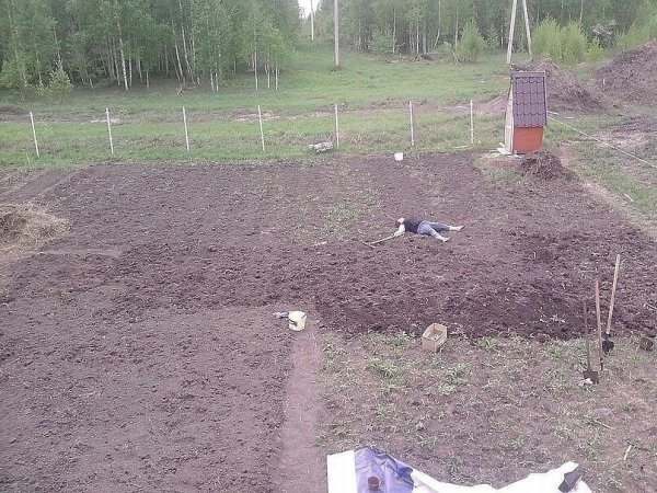 Анекдот про картошку