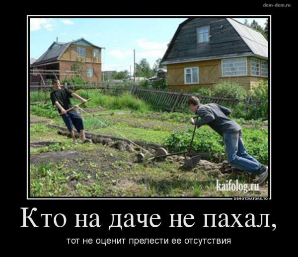 Приколы про огород и дачу
