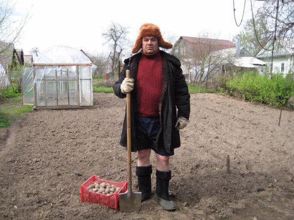 Дачники на грядках