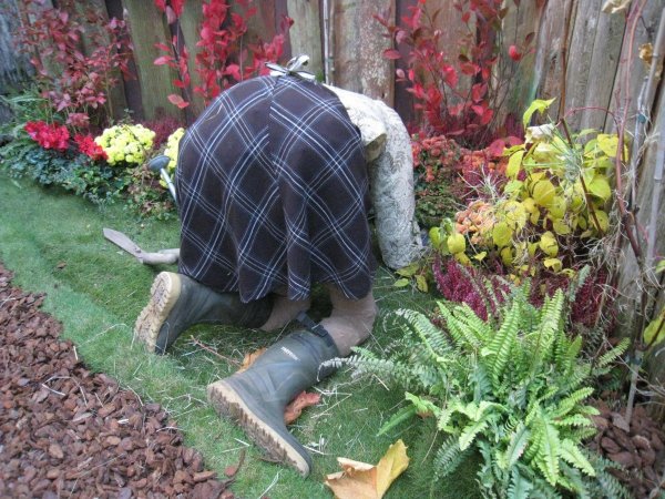 Шутки про огород