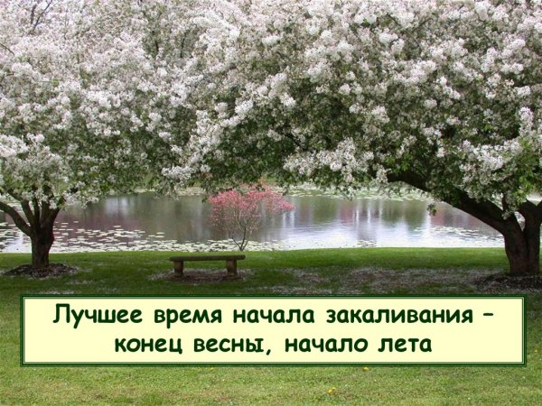 Мотиваторы Весна пришла