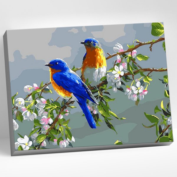 Красивые летние птицы