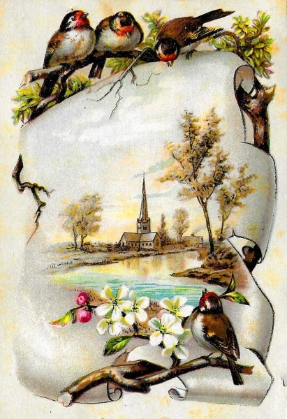 Винтажные птицы