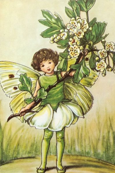 Феи Сесиль Баркер