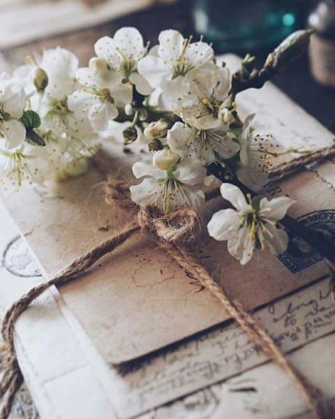 Открытки прошлого века