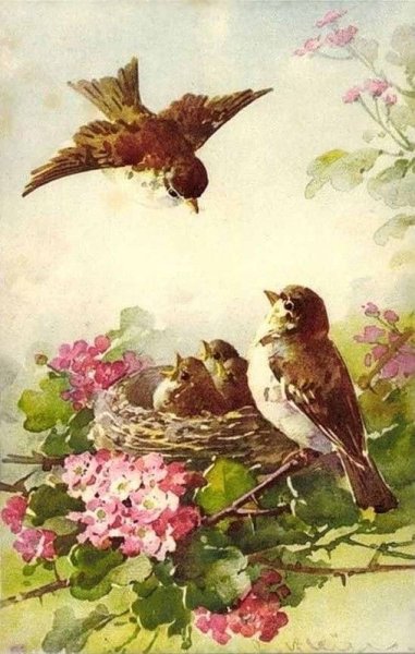 Carolyn Shores Wright картины