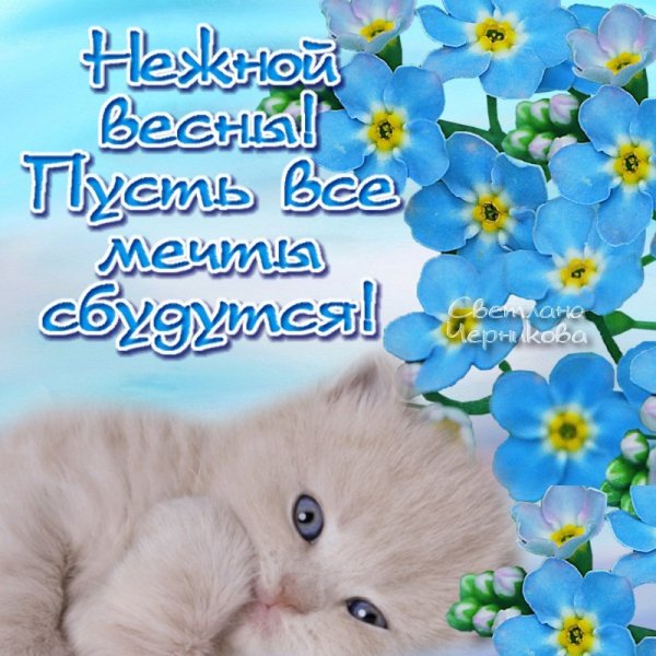 Февраль скоро Весна