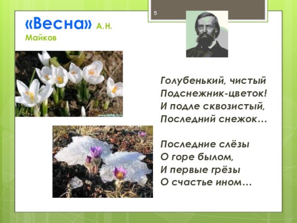 Поэт Майков стихи о природе