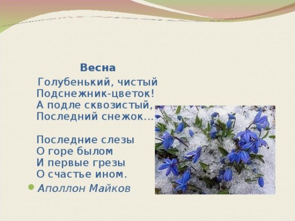 Аполлон Майков Подснежник