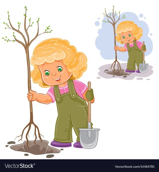 Дети поливают дерево