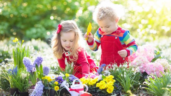 Дети с садовыми цветами