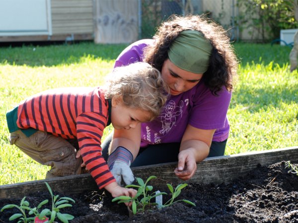 Труд в огороде