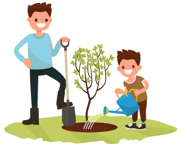 Посадка деревьев