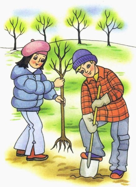 Изображения по запросу Раскраски урожаем фруктовых деревьев - страница 2