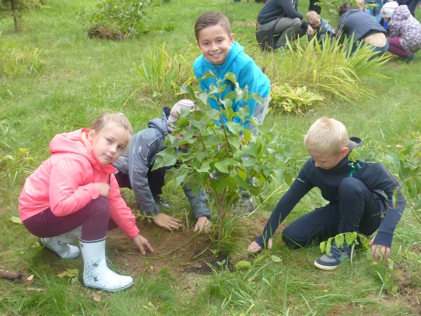 Дети сажают деревья цветы