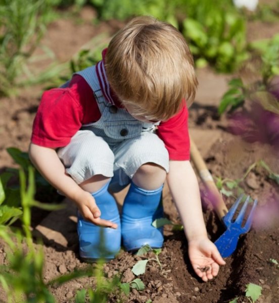 Огород весной