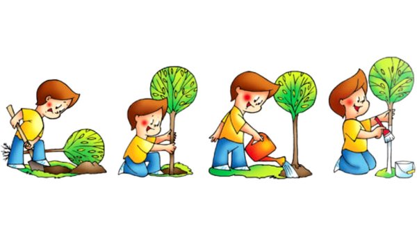 Дети копают и поливают деревце