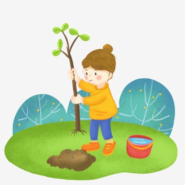 Посадка деревьев