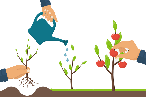 Посадка деревьев вектор