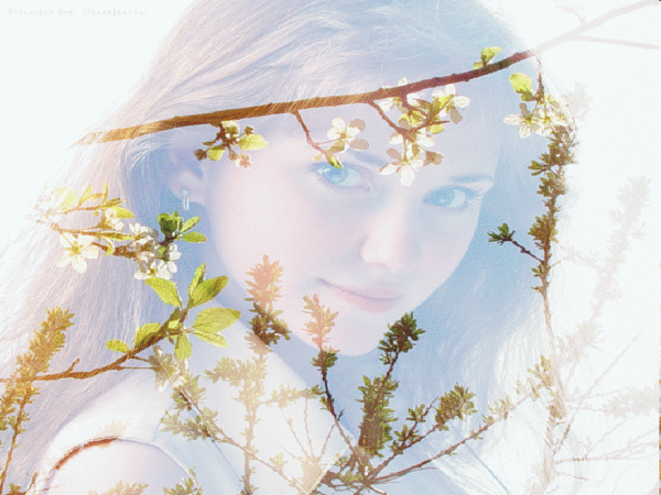 Благоухание весны